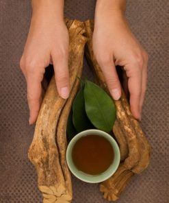 Soul Herbs: Buy Ayahuasca | Ayahuasca