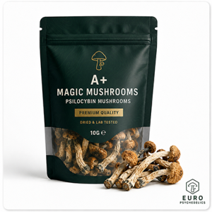 A+ Magic Mushrooms