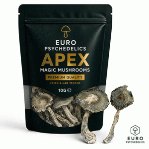 APEX Magic Mushrooms