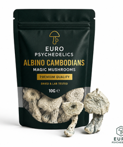 Albino Cambodians Magic Mushrooms