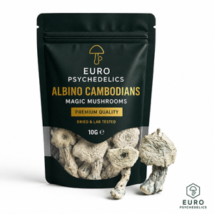 Albino Cambodians Magic Mushrooms