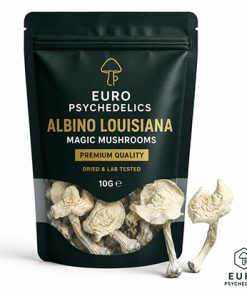 Albino Louisiana Magic Mushrooms