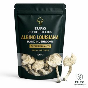 Albino Louisiana Magic Mushrooms