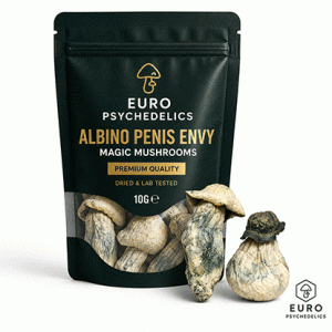 Albino Penis Envy Magic Mushrooms