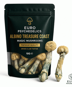 Albino Treasure Coast Magic Mushrooms