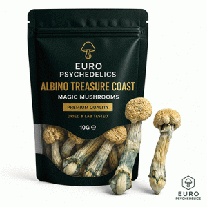 Albino Treasure Coast Magic Mushrooms