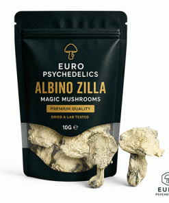 Albino Zilla Magic Mushrooms explained: explore their pale characteristics, Psilocybe cubensis connection, taxonomy, lineage terminology and European legal context.