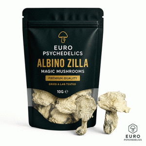 Albino Zilla Magic Mushrooms explained: explore their pale characteristics, Psilocybe cubensis connection, taxonomy, lineage terminology and European legal context.