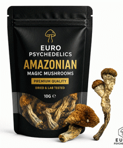 Amazonian Magic Mushrooms