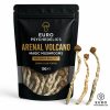 Arenal Volcano Magic Mushrooms