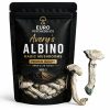 Avery’s Albino Magic Mushrooms