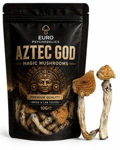 Aztec God Magic Mushrooms