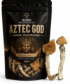 Aztec God Magic Mushrooms