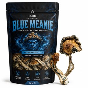 Blue Meanie Magic Mushrooms