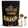 Brazilian Magic Mushrooms