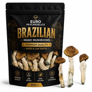Brazilian Magic Mushrooms