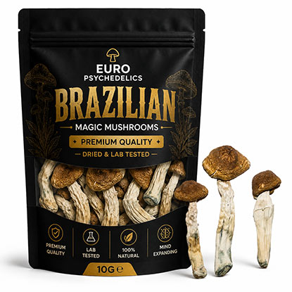 Brazilian Magic Mushrooms