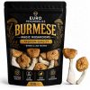 Burmese Magic Mushrooms