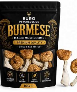 Burmese Magic Mushrooms