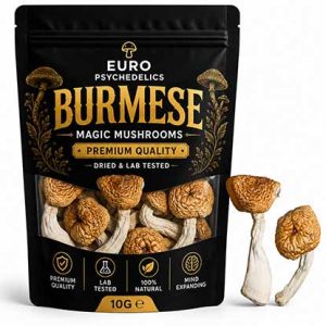Burmese Magic Mushrooms