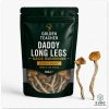 Daddy Long Legs Magic Mushrooms