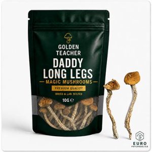 Daddy Long Legs Magic Mushrooms