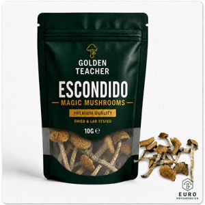Escondido Magic Mushrooms