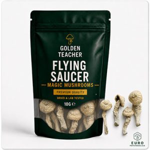 Flying Saucer