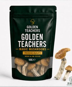 Golden Teachers Magic Mushrooms