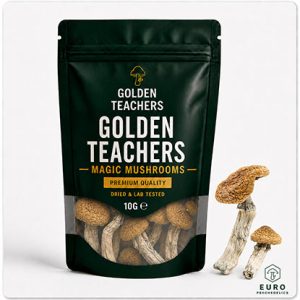 Golden Teachers Magic Mushrooms