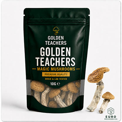 Golden Teachers Magic Mushrooms