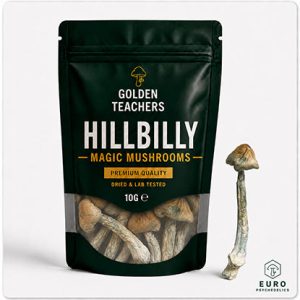HillBilly Magic Mushrooms