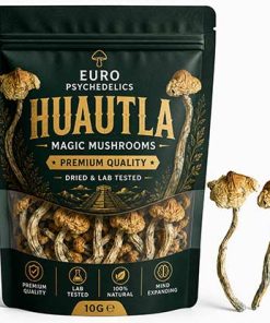 Huautla Magic Mushrooms