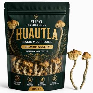 Huautla Magic Mushrooms