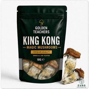 King Kong Magic Mushrooms