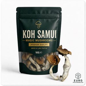 Koh Samui Magic Mushrooms