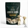 Leucistic Burma Magic Mushrooms