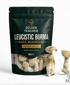 Leucistic Burma Magic Mushrooms