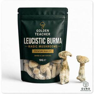 Leucistic Burma Magic Mushrooms