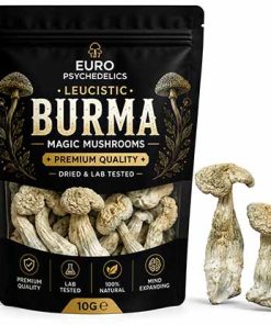 Leucistic Burma Magic Mushrooms