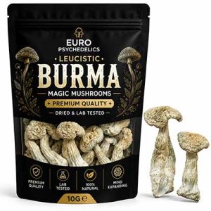 Leucistic Burma Magic Mushrooms