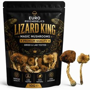 Lizard King Magic Mushrooms