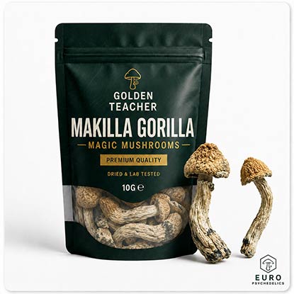 Makilla Gorilla Magic Mushrooms