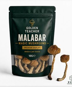 Malabar Magic Mushrooms