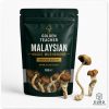 Malaysian Magic Mushrooms