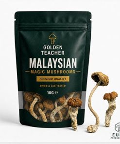 Malaysian Magic Mushrooms