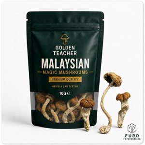 Malaysian Magic Mushrooms