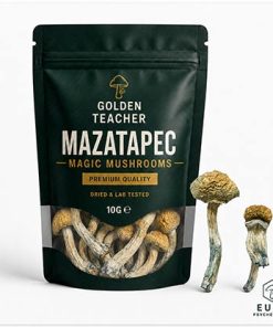Mazatapec Magic Mushrooms