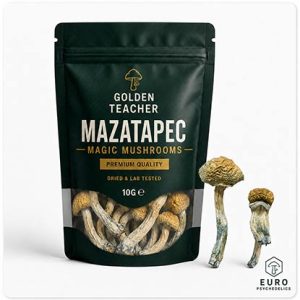 Mazatapec Magic Mushrooms