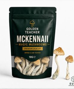 McKennaii Magic Mushrooms